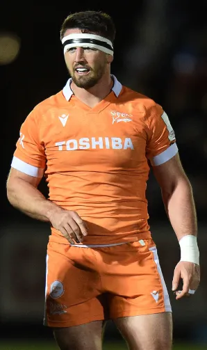 Sale Sharks Sale Sharks Products