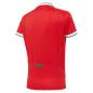 Wales Poly Home Rugby Shirt S/S Kids 2021 - Back