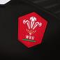 Wales Regular Fit Alternate Rugby Shirt Kids 2021, Short Sleeved - Detail 1