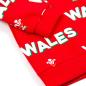 Brecrest Babies Wales Hoodie - Red - Sleeve