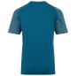 Canterbury Mens Polycotton Graphic Training Tee - Blue Coral - Back