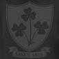 Mens Ireland 1875 Large Logo Pullover Hoodie - Jet Black - Back Logo