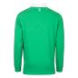 Rugbystore Ireland 1875 Mens Rugby Shirt - Long Sleeve Green - Back