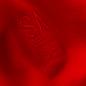 British and Irish Lions Mens Classic Rugby Shirt - Red Short Sle - Detail 3