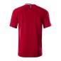 Canterbury Mens Teamwear Evader Hooped Rugby Match Shirt - Red a - Back