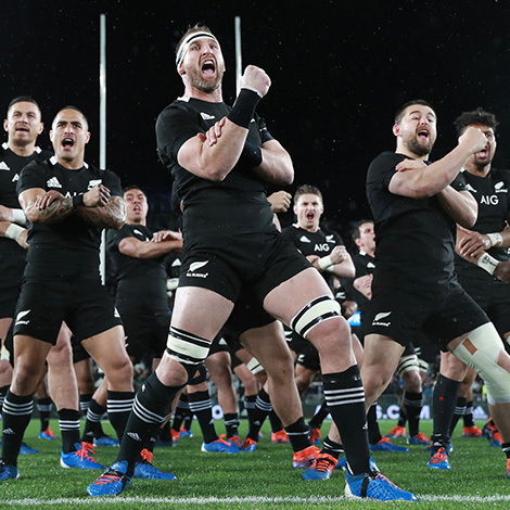 New Zealand All Blacks Rugby Range