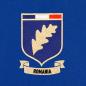 Romania Badge