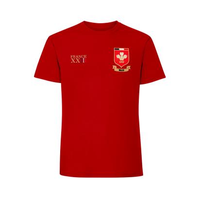 Wales Kids World Cup Classic T-Shirt - Red - Front