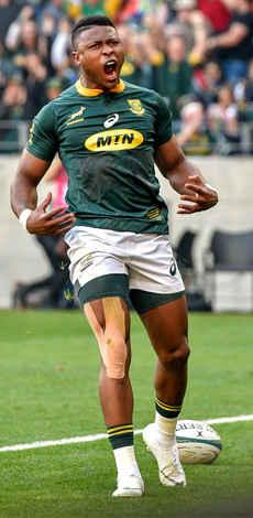 South Africa Springboks Rugby Range