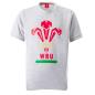 Macron Wales Kids Feathers Tee - Grey - Front