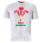 Macron Wales Mens Feathers Tee - Grey - Front