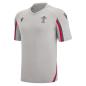 Wales Mens Training Gym Tee - Grey 2023 - Front