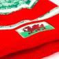 Wales Striped Bobble Hat - Logo