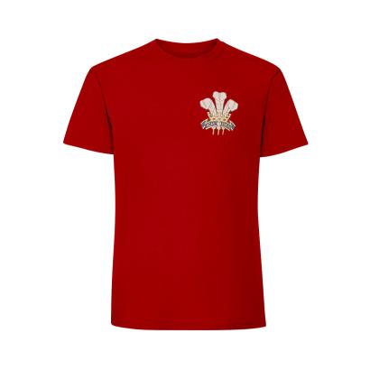 wales-kids-classic-t-shirt-red-front.jpg