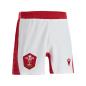 Wales Mens Home Rugby Shorts - White 2023 - Front
