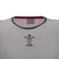 Wales Mens Leisure Cotton Tee - Grey 2023 - Wales Logo