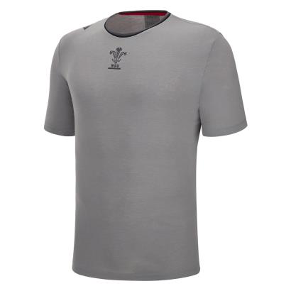 Wales Mens Leisure Cotton Tee - Grey 2023 - Front