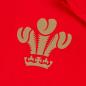 Wales Classic Printed Tee Red Kids - Badge