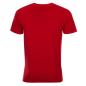 Wales Mens Summer Tour Printed Tee - Red 2022 - Back
